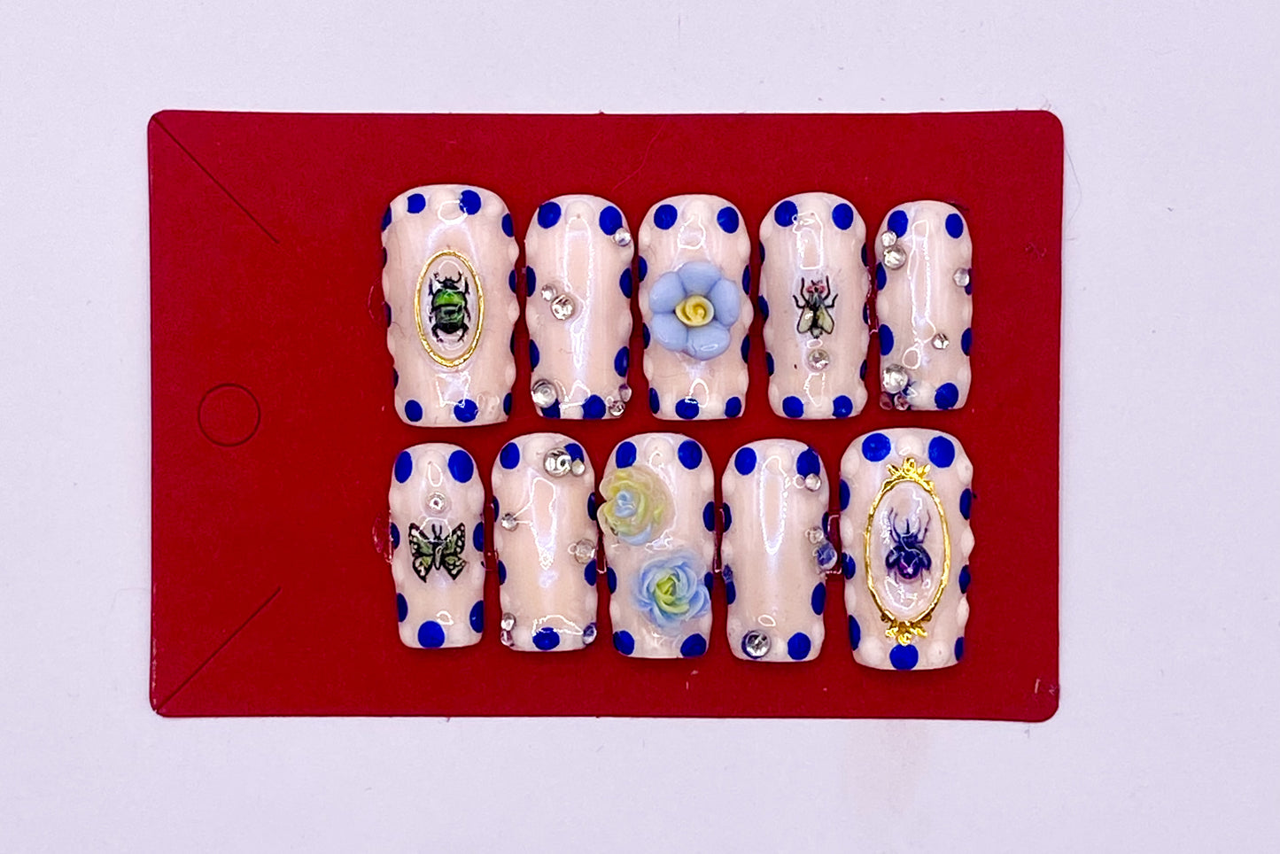 Blue Border Bugs